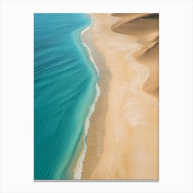 Sand Dunes On The Beach Canvas Print