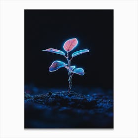 Neon Plant In The Dark 3 Toile