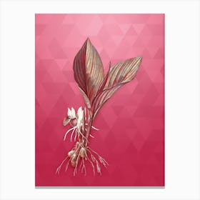 Vintage Koemferia Longa Botanical in Gold on Viva Magenta Canvas Print