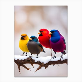 Colorful Birds Canvas Print