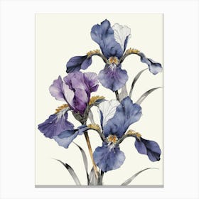 Blue Iris 1 Canvas Print