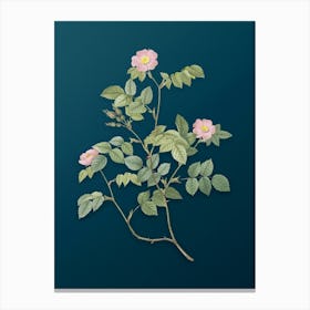 Vintage Sweetbriar Rose Botanical Art on Teal Blue n.0518 Canvas Print