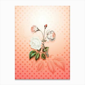 Ruga Rose Flower Vintage Botanical in Peach Fuzz Polka Dot Pattern n.0265 Canvas Print