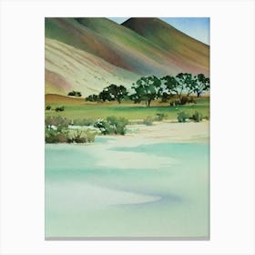 Namib Water Colour Poster Canvas Print