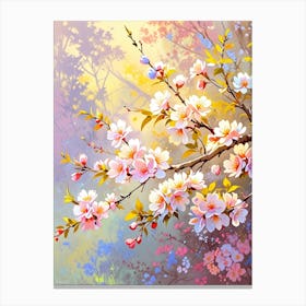 Cherry Blossoms 50 Canvas Print