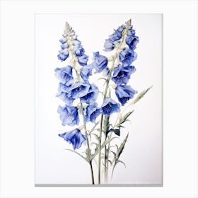 Pressed Flower Botanical Art Delphinium 1 Canvas Print