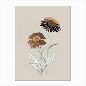 Echinacea Spices And Herbs Retro Minimal 5 Canvas Print