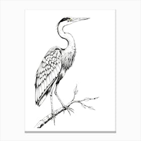 Great Blue Heron 1 Canvas Print