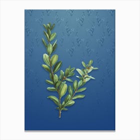Vintage Buxus Colchica Bush Botanical on Bahama Blue Pattern n.0945 Canvas Print