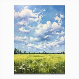 Field Of Daisies 1 Canvas Print