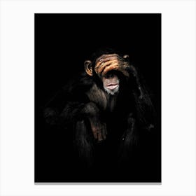 Monkey see no evil Canvas Print