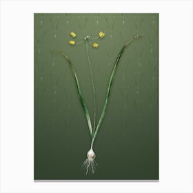 Vintage Allium Scorzonera Folium Botanical on Lunar Green Pattern n.1024 Canvas Print