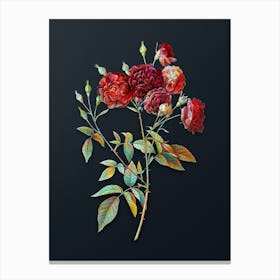 Vintage Ternaux Rose Bloom Botanical Watercolor Illustration on Dark Teal Blue Canvas Print