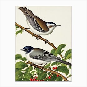 Mockingbird James Audubon Vintage Style Bird Canvas Print