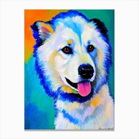 American Eskimo Dog 2 Fauvist Style dog Canvas Print
