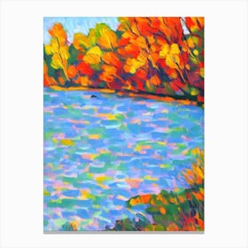 River Birch tree Abstract Block Colour Canvas Print
