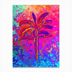 Banana Tree Botanical in Acid Neon Pink Green and Blue n.0192 Canvas Print