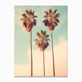 California Dreaming - Palms Paradise Canvas Print