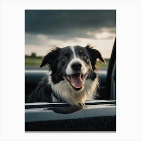 Border Collie In Car 1 Canvas Print