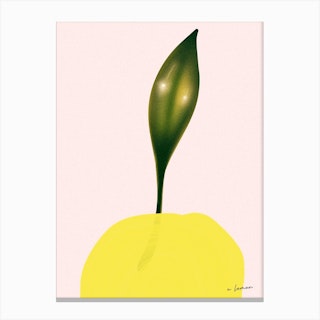 A Lemon Canvas Print