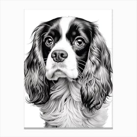 Cavalier King Charles Spaniel Dog, Line Drawing 4 Canvas Print