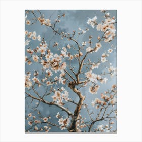 Cherry Blossoms 38 Canvas Print