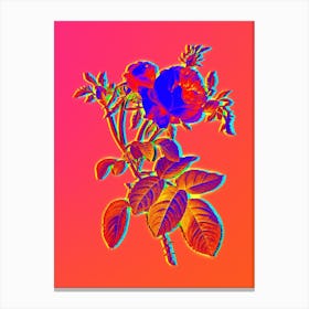 Neon Pink Cabbage Rose de Mai Botanical in Hot Pink and Electric Blue n.0036 Canvas Print