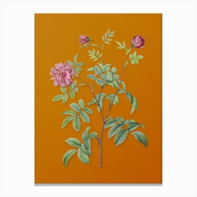 Vintage Cinnamon Rose Botanical on Sunset Orange Canvas Print