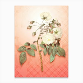 Adelia Aurelianensis Vintage Botanical in Peach Fuzz Tartan Plaid Pattern n.0302 Canvas Print