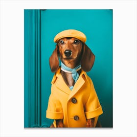 A Dachshund Dog 4 Canvas Print