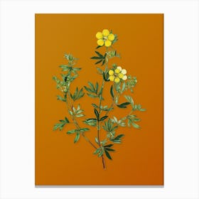 Vintage Yellow Buttercup Flowers Botanical on Sunset Orange n.0835 Canvas Print