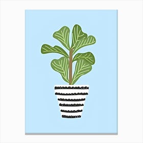Fig Plant Canvas Print