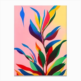 Dragon Tree Colourful Illustration Plant Canvas Print