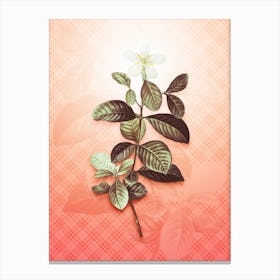 Gardenia Vintage Botanical in Peach Fuzz Tartan Plaid Pattern n.0211 Canvas Print