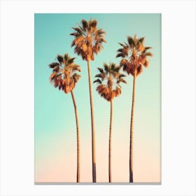 California Dreaming - Hollywood Palm Trees Canvas Print