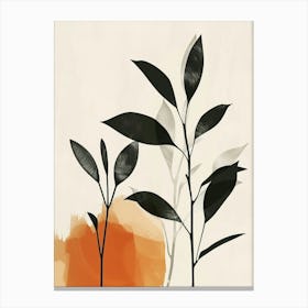 Chinese Evergreen Plant Minimalist Illustration 5 Canvas Print