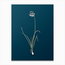 Vintage Nodding Onion Botanical Art on Teal Blue n.0150 Canvas Print