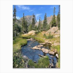 Stream In The Mountains Canvas Print