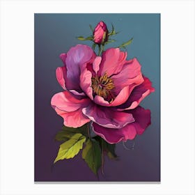 Peony Flower 4 Canvas Print