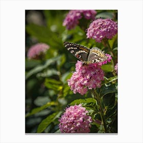 Butterfly On Pink Hydrangea Canvas Print