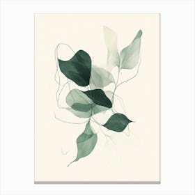 Eucalyptus 1 Canvas Print