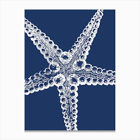 Starfish 16 Canvas Print