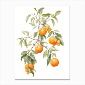 Oranges On A Branch 2 Canvas Print