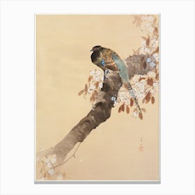 Pheasant On Cherry Blossom Branch (1887 1945), Ohara Koson Canvas Print