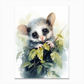Adorable Chubby Curious Possum 4 Canvas Print