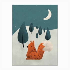 Squirrel Final Fy Canvas Print