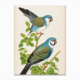 Budgerigar James Audubon Vintage Style Bird Canvas Print