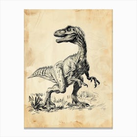 Vintage Oviraptor Dinosaur Sepia Illustration Canvas Print