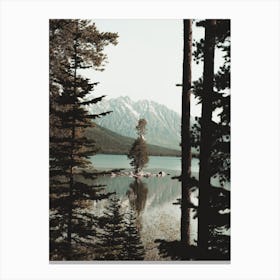 Tree On Lake Island Canvas Print