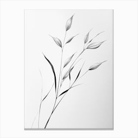 Black And White Drawing Of A Plant Canvas Print